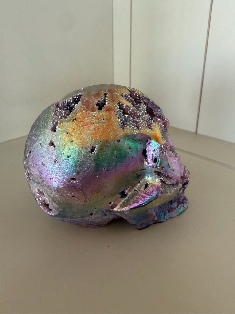 Skull - Picture 6 of 9